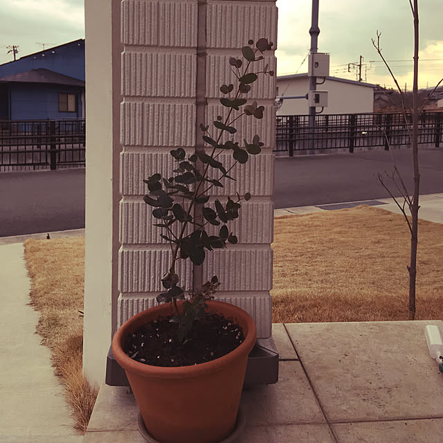 sachimさんの実例写真