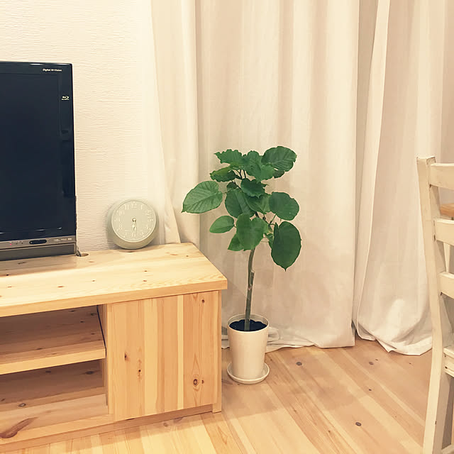 hiroさんの実例写真