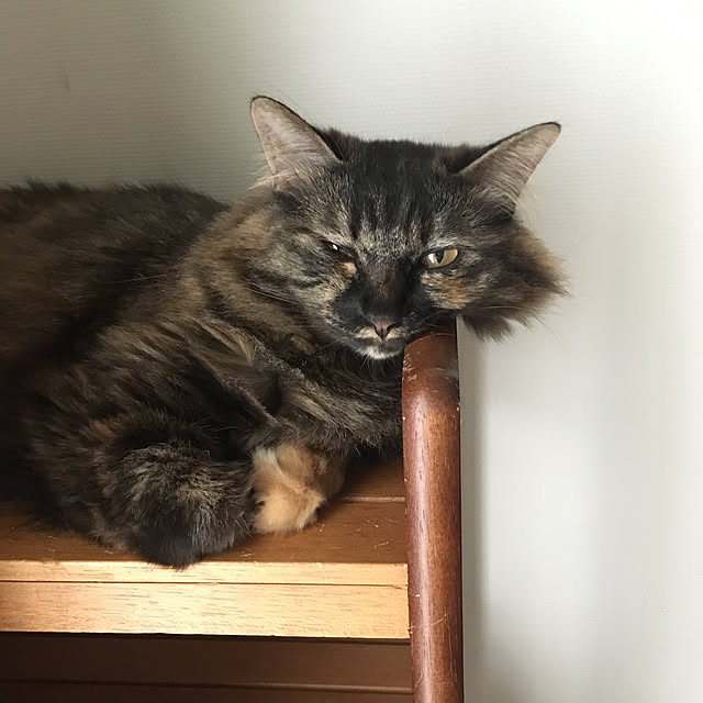 mikomaruさんの実例写真