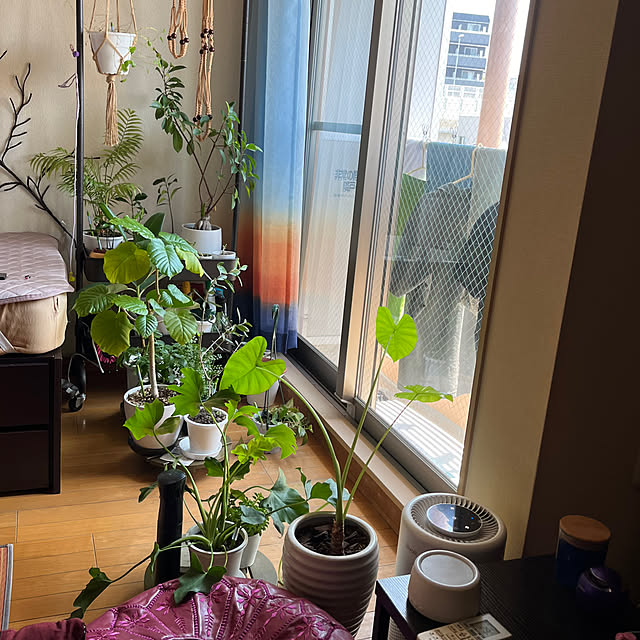 khaiさんの部屋