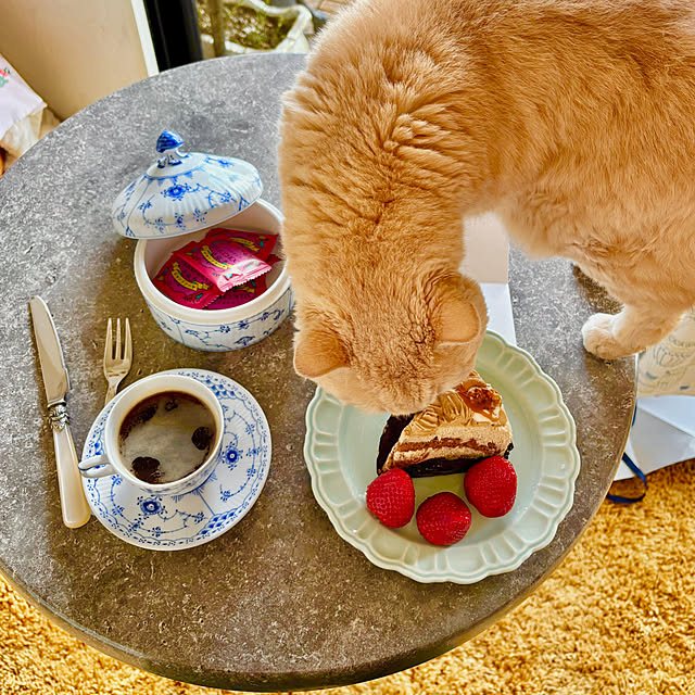 naokoさんの部屋