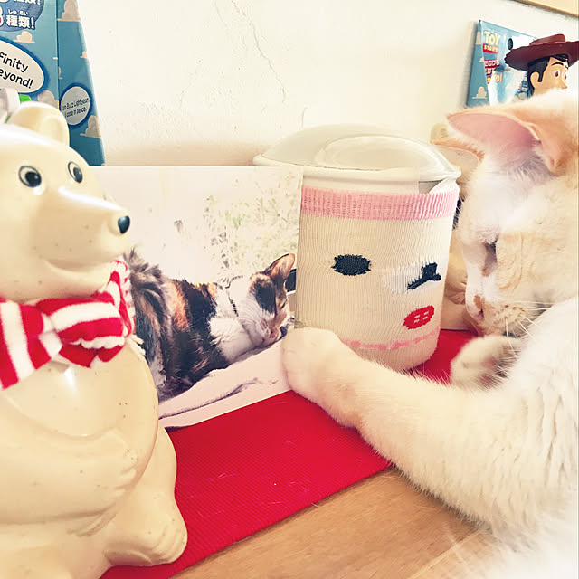 sakurasakuさんの実例写真