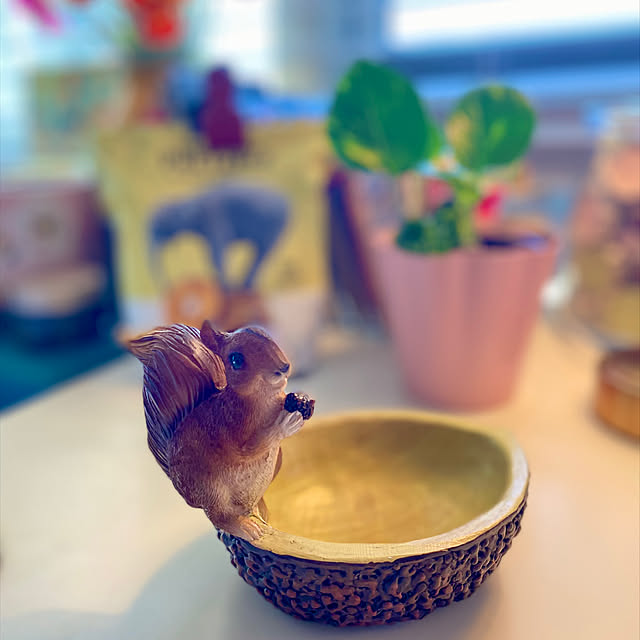 Spiceさんの実例写真