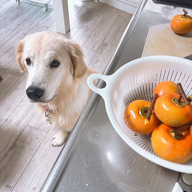 y.frvr.ks-lvyuiさんの実例写真