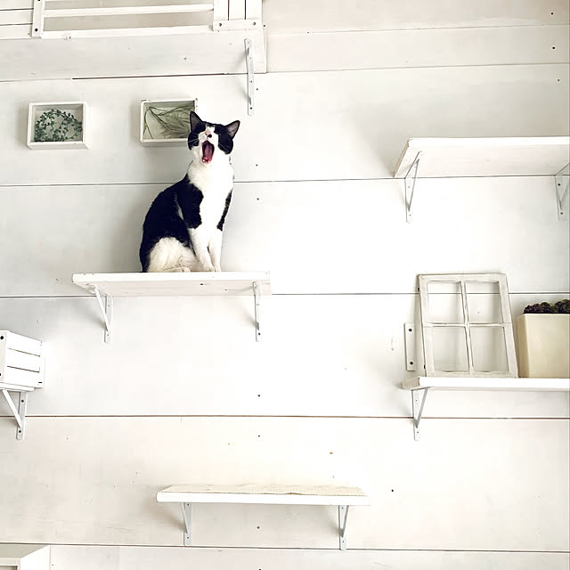 kanaさんの実例写真