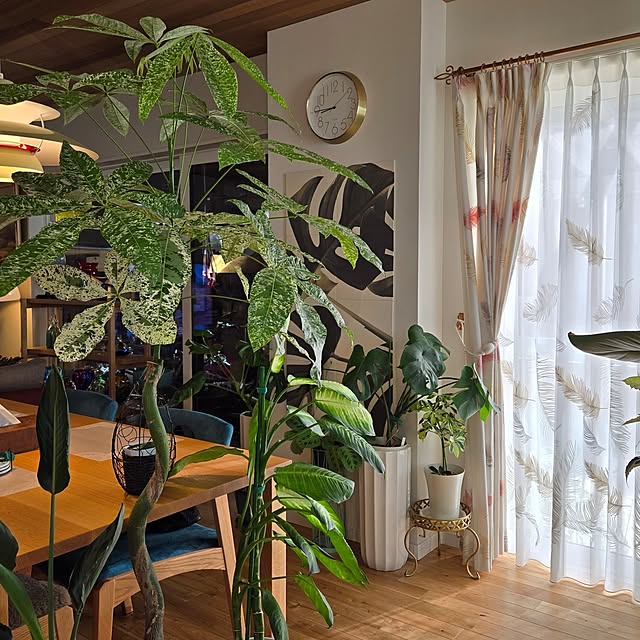 nonbiri_house_さんの実例写真