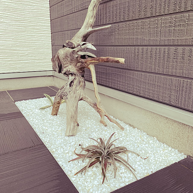 shokuchudokuさんの実例写真