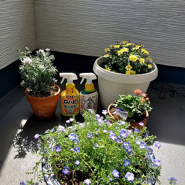 tokkiさんの実例写真