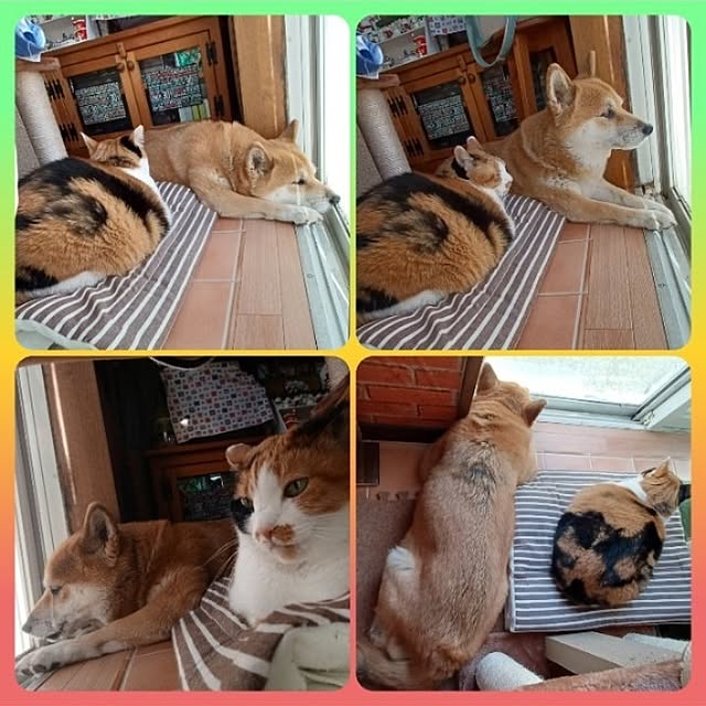nanaさんの部屋