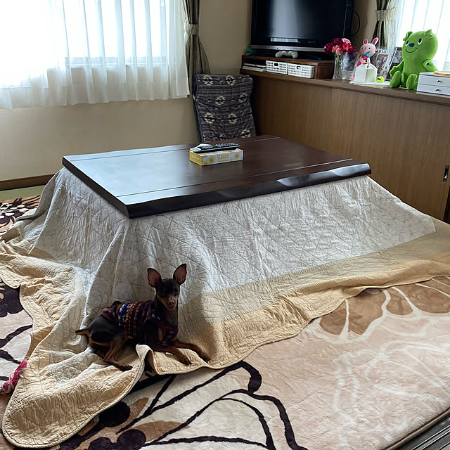 michikusa8383さんの実例写真