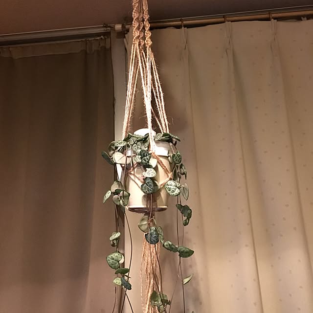 kou-kitiさんの実例写真