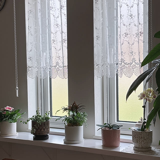miyu39さんの部屋