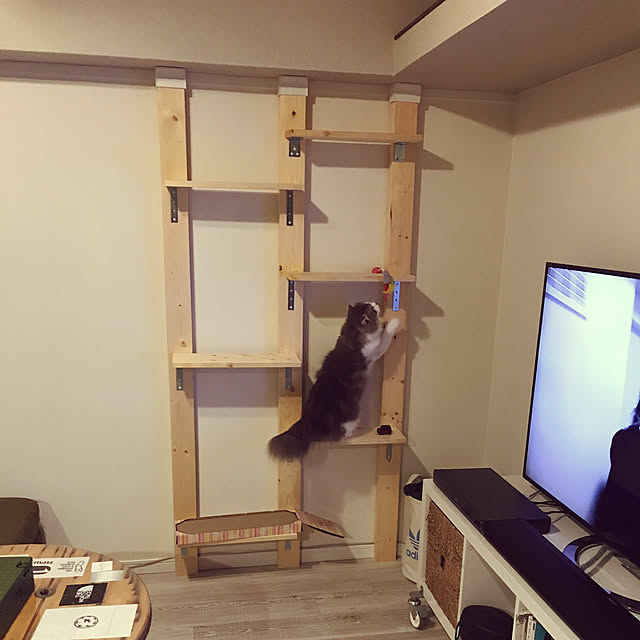 hirohiro081さんの実例写真