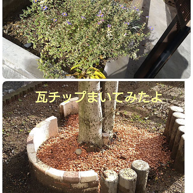 ameamekaasanさんの実例写真