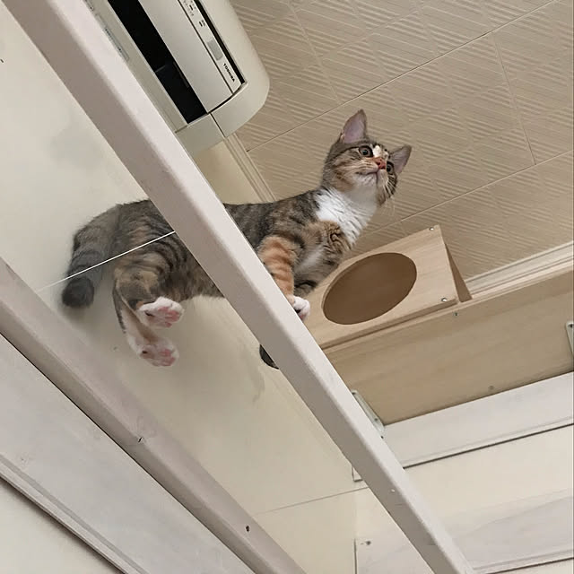 mikaさんの実例写真