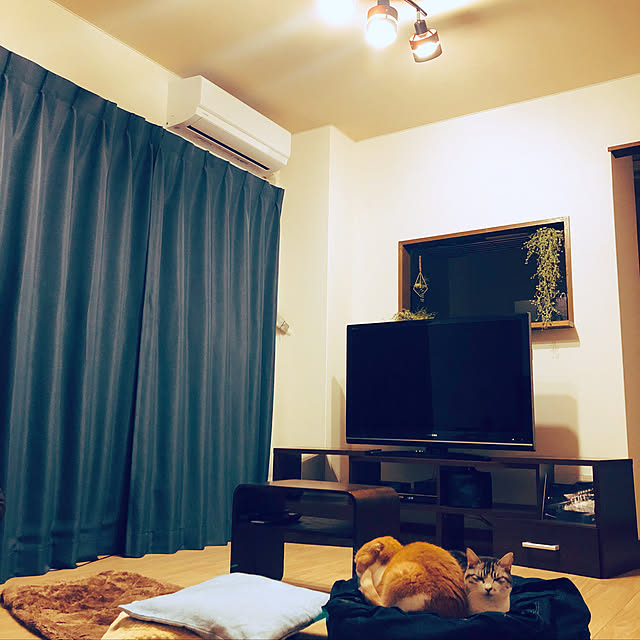 nekosikaさんの実例写真