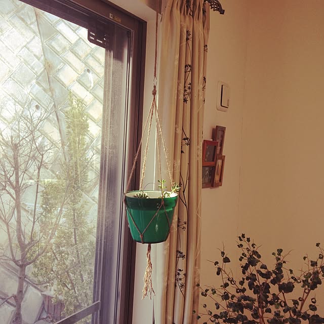 kinoさんの実例写真