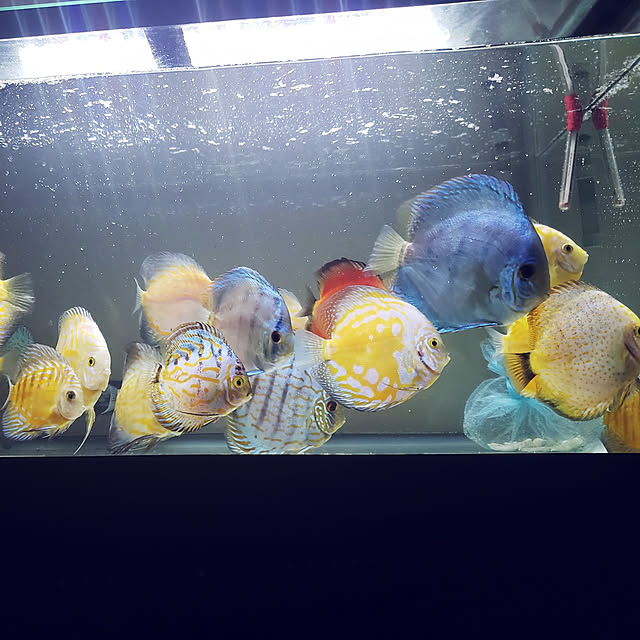 Riorikoさんの実例写真