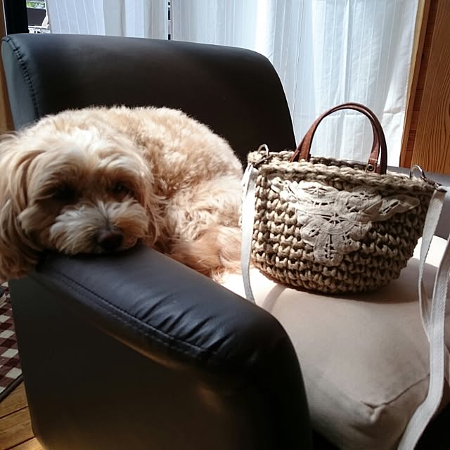 makaronさんの実例写真