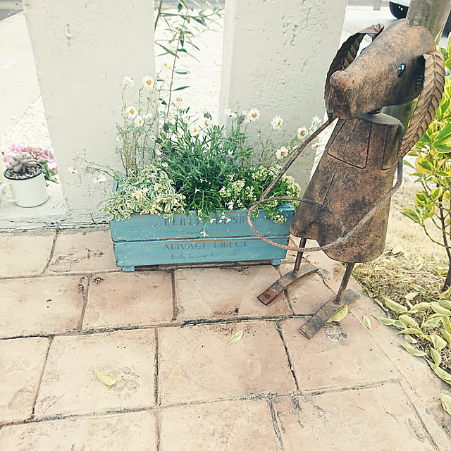 kanoさんの実例写真