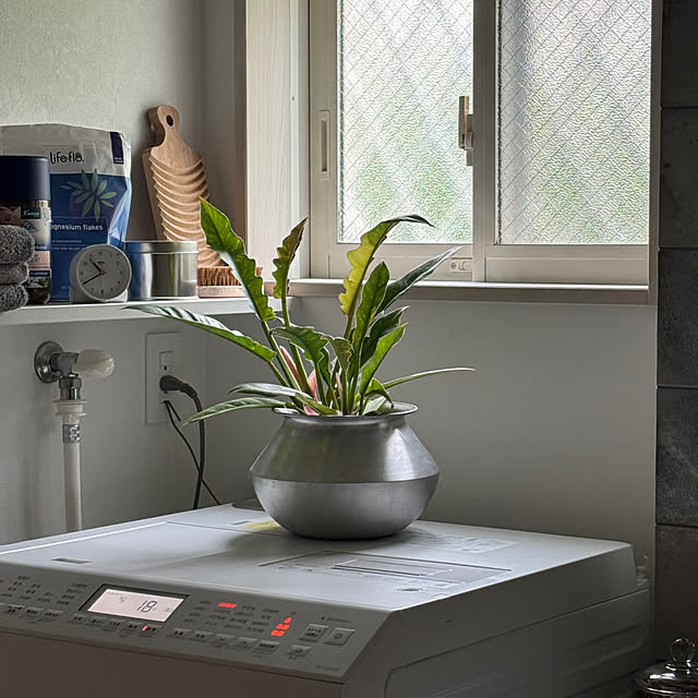 バス/トイレ/洗面所のインテリア/観葉植物のある生活/フィロデンドロン/観葉植物のある暮らしのインテリア実例 - 2025-05-12 21:53:56