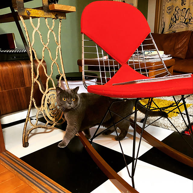 Shojiさんの実例写真