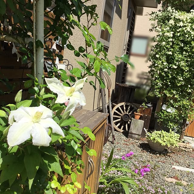 mippoko345さんの実例写真