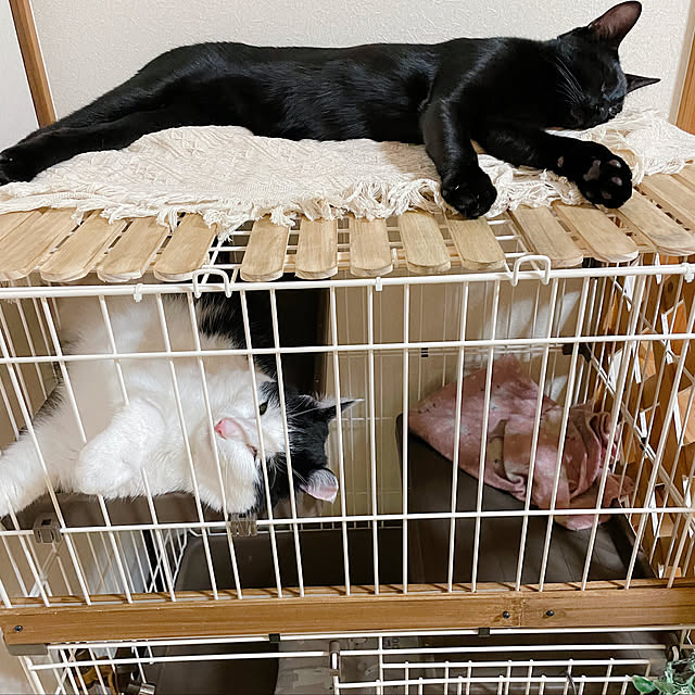 harukaさんの実例写真