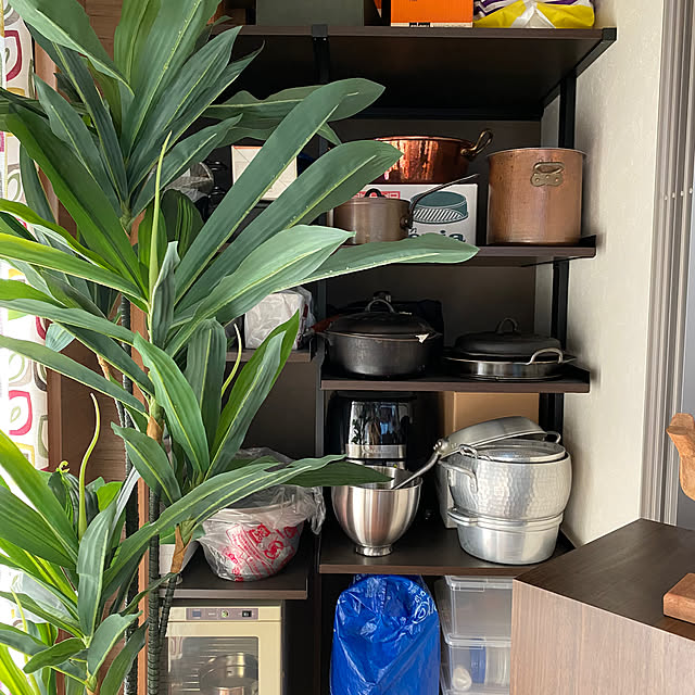 norizoさんの部屋