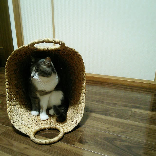 lovepandaさんの実例写真