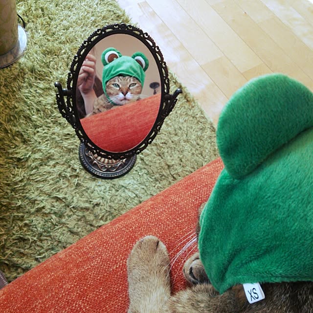 k.namiさんの実例写真