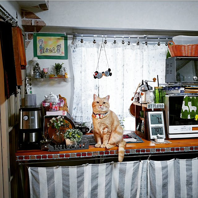 mntcさんの実例写真