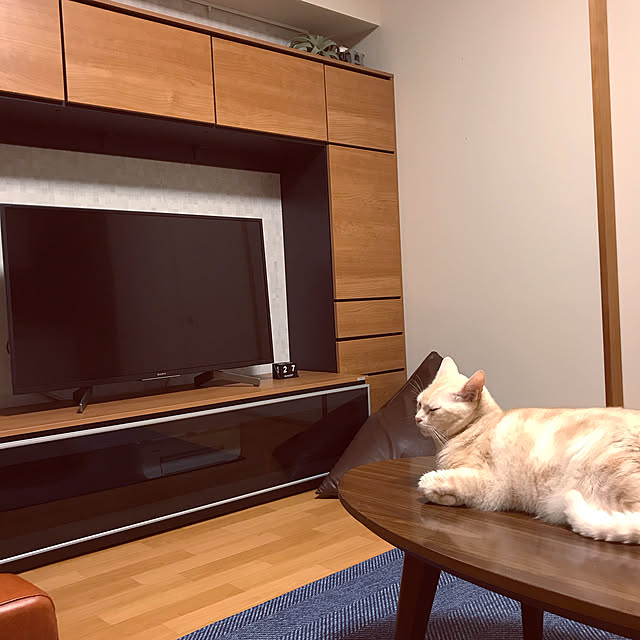 hiyupan88さんの実例写真