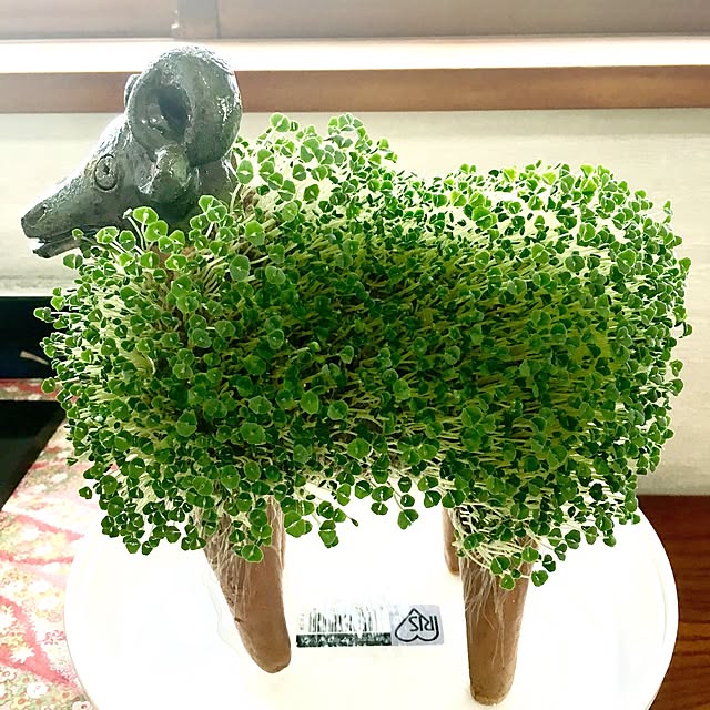 Kururiさんの実例写真