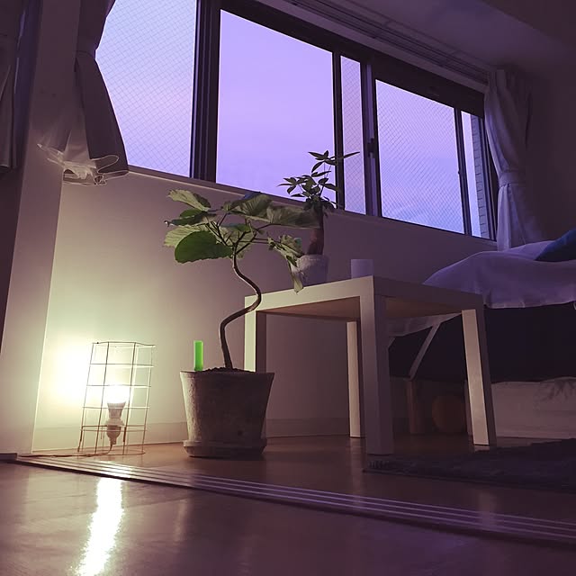 1haru1さんの実例写真