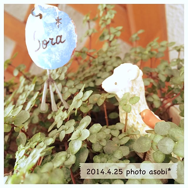 photo_asobiさんの実例写真