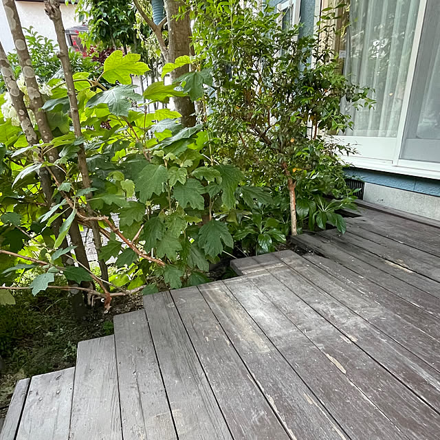 nobikoさんの部屋