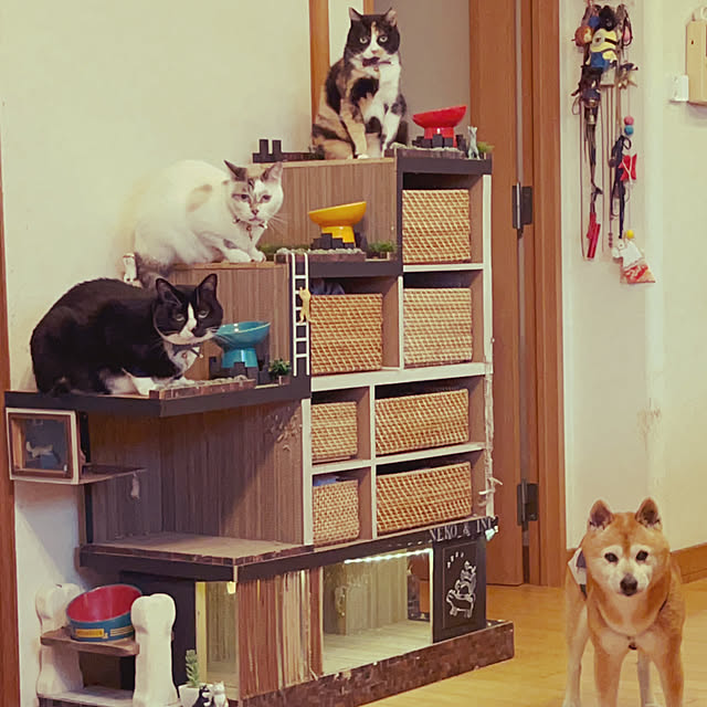 POMERUNさんの実例写真