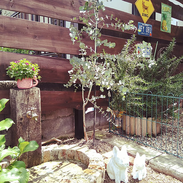 michiさんの実例写真