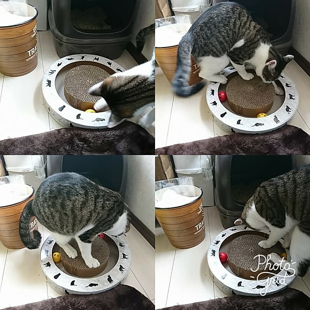 kiraさんの実例写真