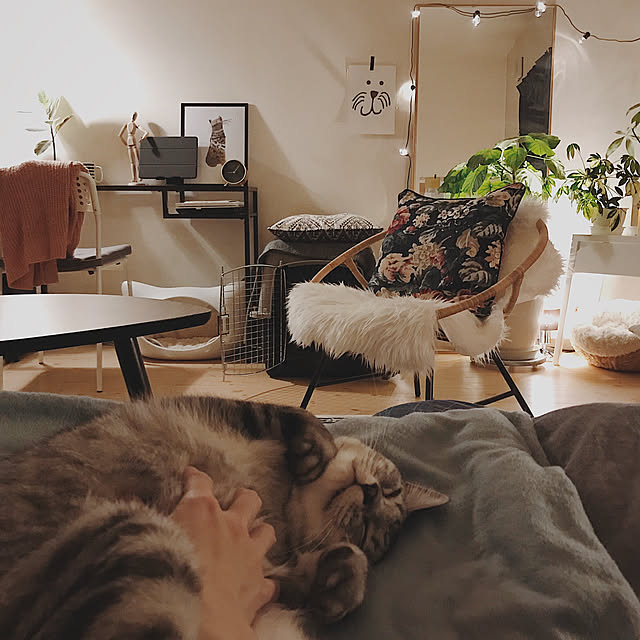 ineko_kさんの実例写真