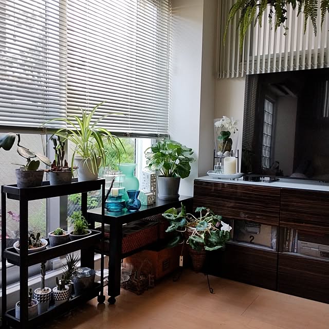 jinさんの部屋