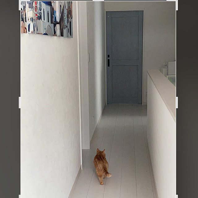 ayucoさんの実例写真