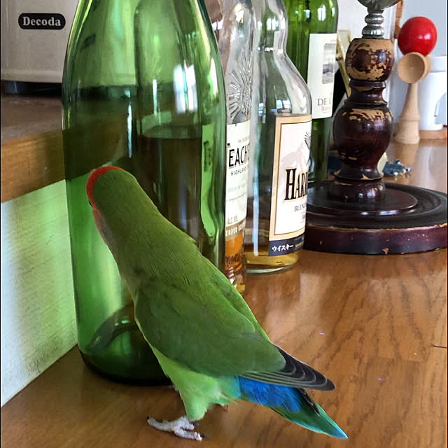 Rechanさんの実例写真
