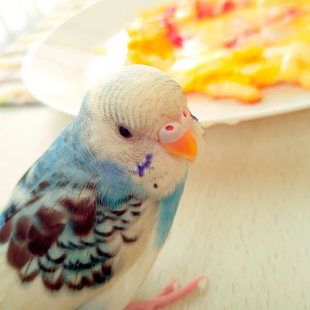 Mariさんの実例写真