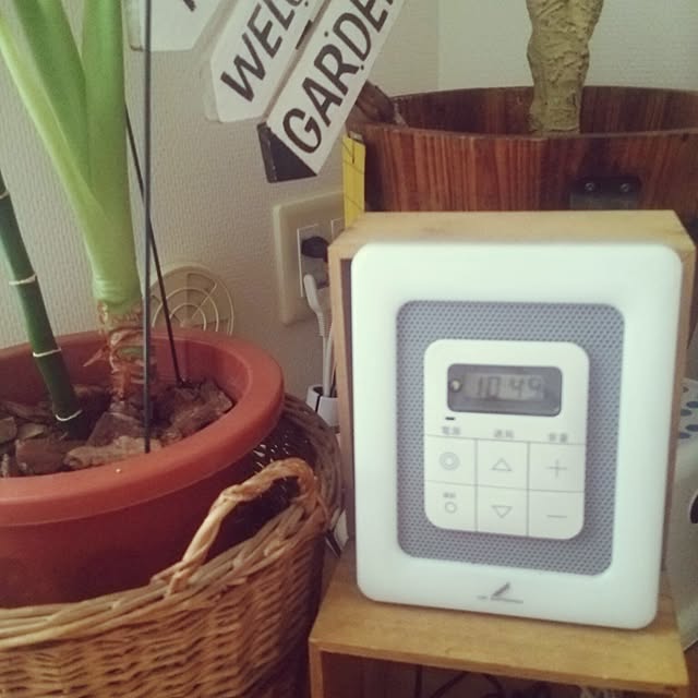 satominさんの実例写真