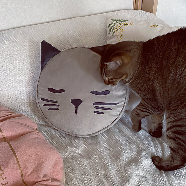 naturalさんの実例写真