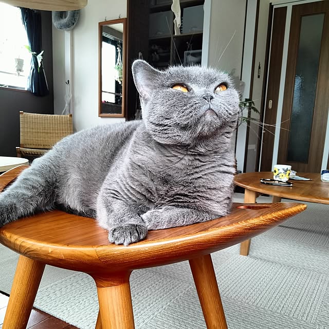 chirotanさんの部屋