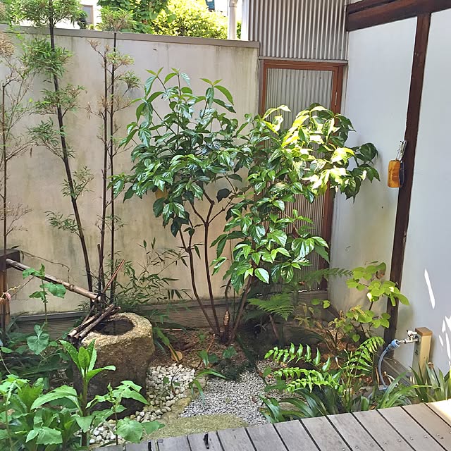 NORiさんの実例写真