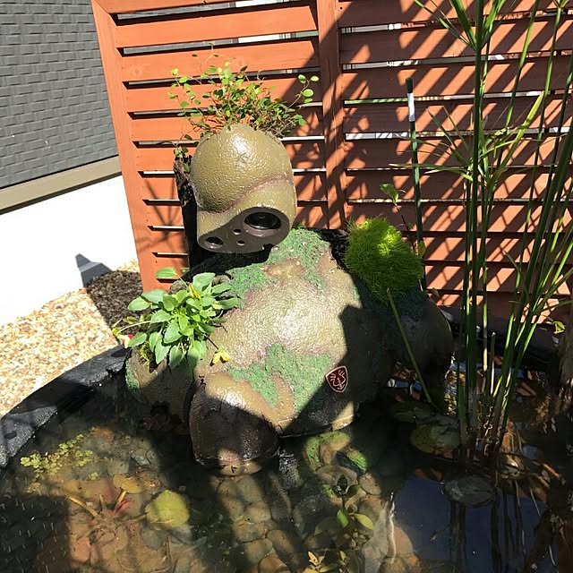 実例写真